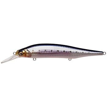 Megabass X-80 MAGNUM+1 5個セット Megabass メガバス X-80マグナム プラス1 X-80MAGNUM+1 : グッド